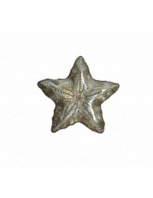 Estrela champanhe