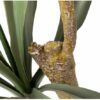 Árvore de Gladiolus com vaso - Image 2