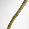 Cana de bambu 130cm