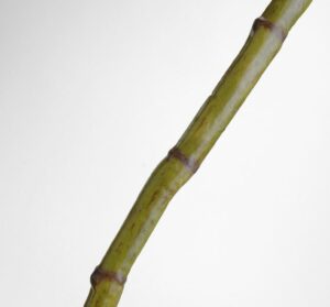 Cana de bambu 130cm