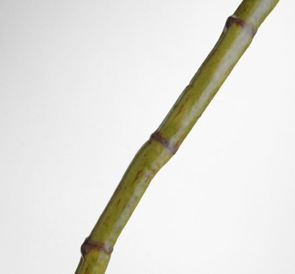 Cana de bambu 130cm