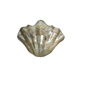 Taça vidro concha champanhe 28 cm