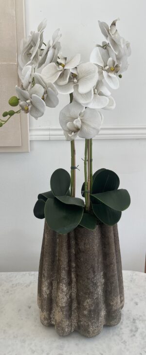 Orquídea 3 caules